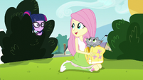 Fluttershy --want to give her a treat--- EG3