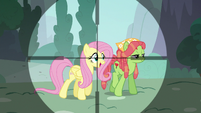 Fluttershy in Discord's crosshairs S5E7