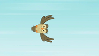 Owlowiscious flying S2E07