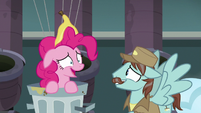 Pinkie Pie "of course you didn't" S7E23