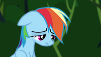 Rainbow Dash dejected S4E04