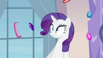 Rarity questioned what S3E12