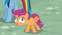 Scootaloo in derp-eyed excitement S6E7