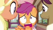 Scootaloo starting to look panicked S9E12