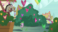 Spike and Discord pass by a bush of hearts S8E10