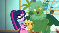 Tall shrub appears in front of Twilight Sparkle EGDS8