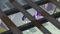 Twilight and Spike in the library basement S9E5