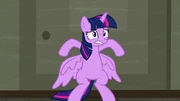 Twilight blocks the window display room door S6E9