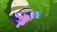 While Twilight is busy stalking.