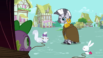 Zecora Offers Help S3E11