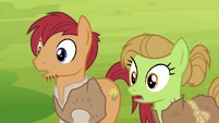 Apple farmer ponies see that Mistmane is gone S7E16.png (742 KB)