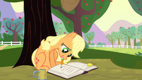 Applejack writes on a journal S4E20