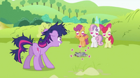 The Cutie Mark Crusaders about to fight over Smarty Pants.