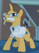 Doctor Horse angry S2E16