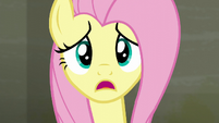 Fluttershy "I asked the raccoons to leave" S6E9