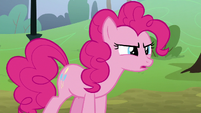 Pinkie Pie "how annoying was that pony?" S8E3