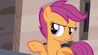 Scootaloo "ever solved a case that quick!" S7E8