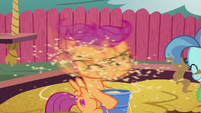 Scootaloo shaking sand off her face S6E19