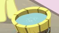 Water rippling in a bucket S9E23