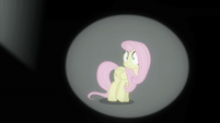 Fluttershy horrified S4E14