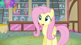 Fluttershy smiling S3E13