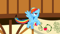 Rainbow Dash burnt tail S2E14