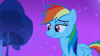 Rainbow Dash smiling S3E6