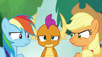 Rainbow and Applejack still unable to agree S8E9