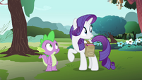 Rarity sees something in the distance S4E23