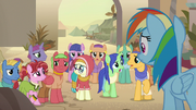 Rainbow Dash trata de cambiar la opinión del público.