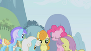 The ponies crowd around Twilight S1E03.png