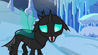 Thorax "I know you don't wanna be friends" S6E16