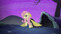 Fluttershy "can you ever forgive me?" S5E21