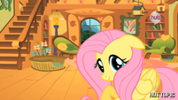 Fluttershy and adorable are synonyms.