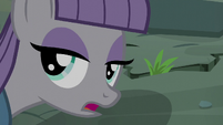 Maud Pie "thermal expansion and soil settlement" S6E3