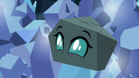 Ocellus transforms into a rock S9E3