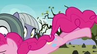 Pinkie Pie tackling Limestone and Marble S8E3