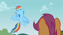 Rainbow Dash No S2E8