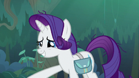 Rarity extending a helping hoof to Starlight S8E13