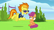 Spitfire give you a different scenario S8E20