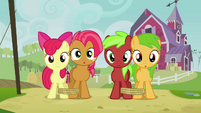 Apple Bloom, Babs and fillies staring S3E08