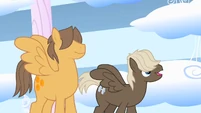 The two stallions who made fun of Rainbow Dash.