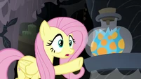 Fluttershy "it's the same kind of lilypad" S7E20.png (766 KB)