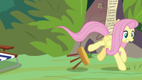 Fluttershy chases after Angel and Sandra S9E18