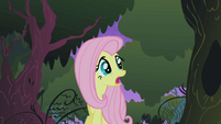 Fluttershy in the Everfree forest S1E17