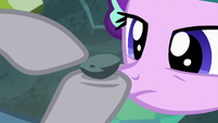 Maud Pie pointing to age lines on Boulder S7E4