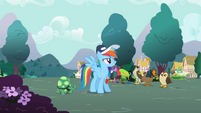 Rainbow Dash "Now these games" S2E07