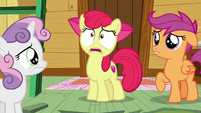 AB "then the Cutie Mark Crusaders don't have any reason to exist!" S6E4