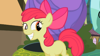 Apple Bloom grins S2E06