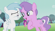 Cotton Cloudy smiles nervously while Diamond Tiara talks directly at her S5E18